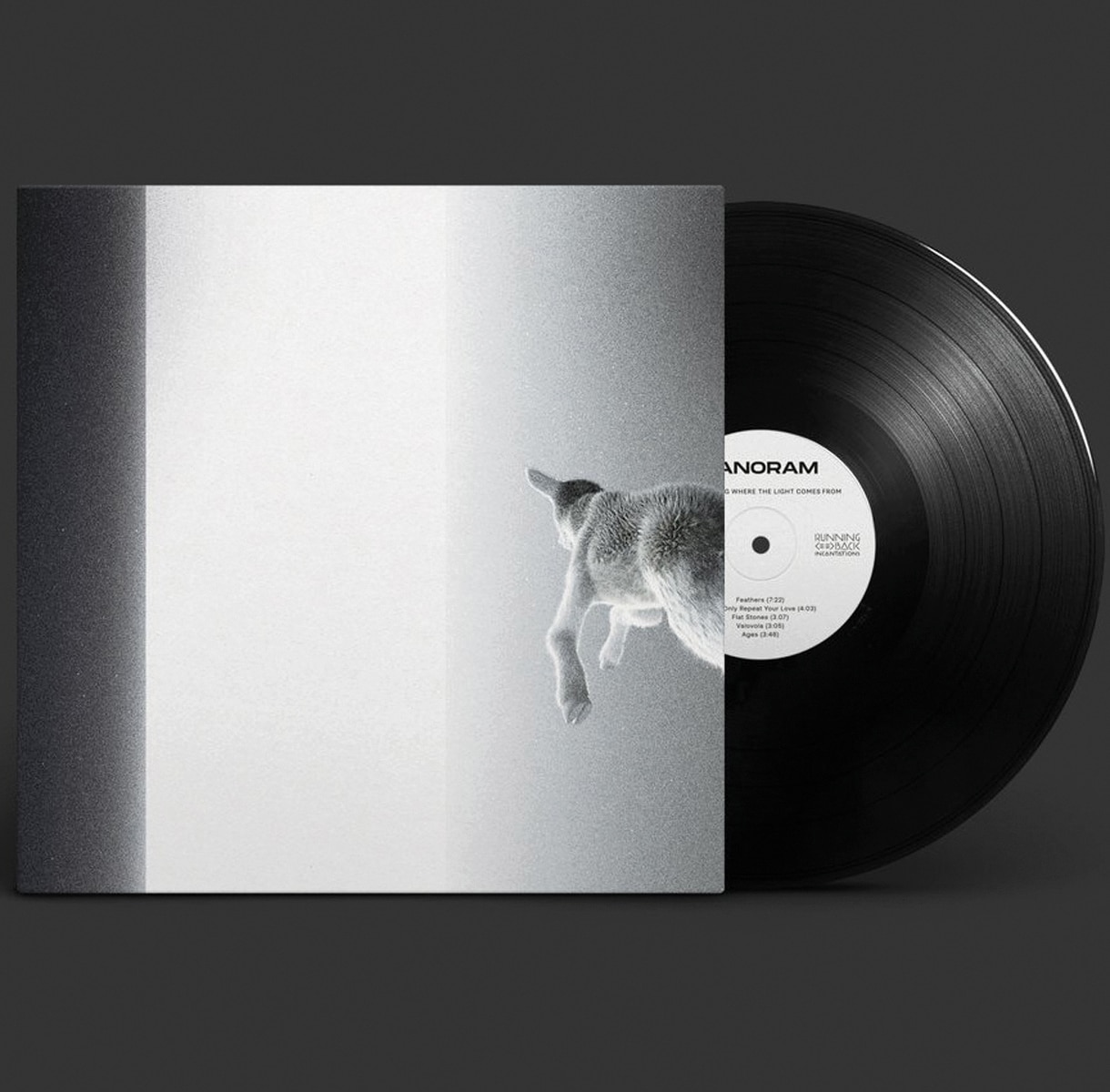 Keep Looking Where The Light Comes From (LP-Vinilo) 2