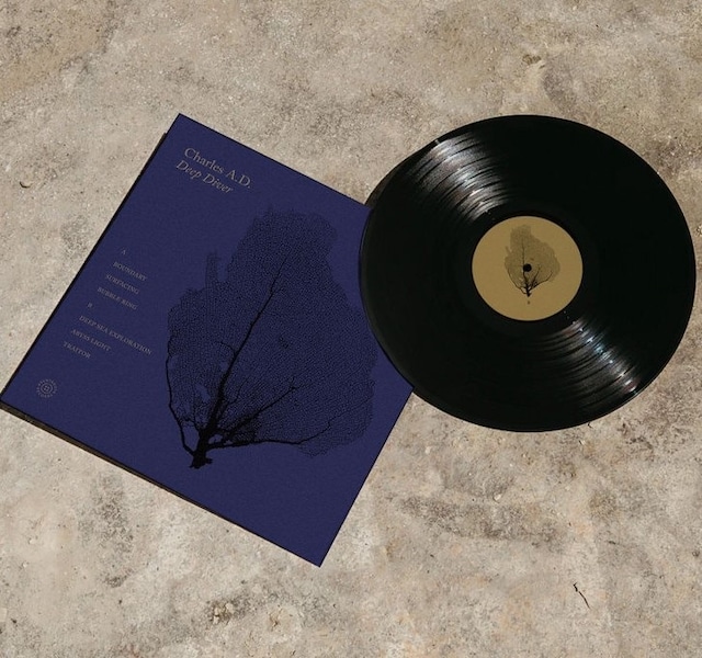 Imagen 0 de Deep diver (LP-Vinilo)