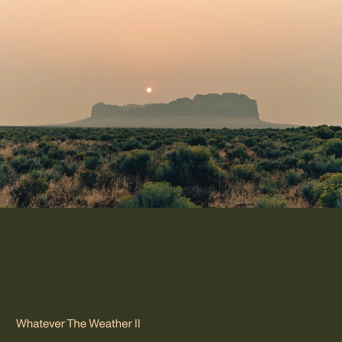 Imagen 2 de Whatever the Weather II (Edición Color) (LP-Vinilo) Verde