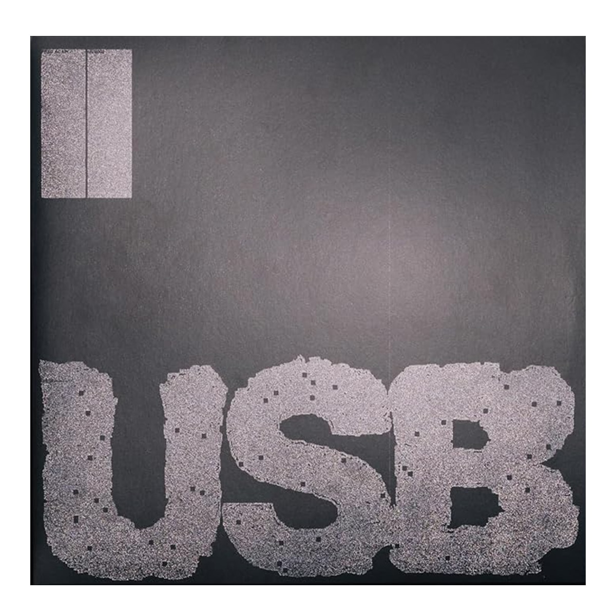 Imagen 3 de USB002 (2 LP-Vinilo)