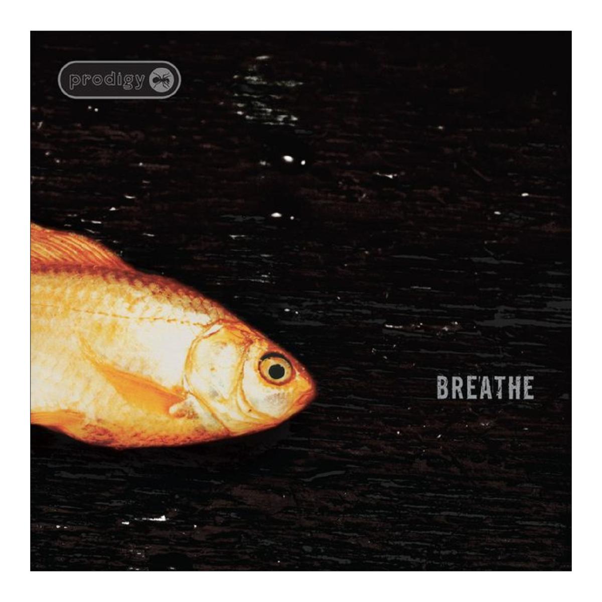 Breathe 30th anniversary (Lp-Vinilo) 1