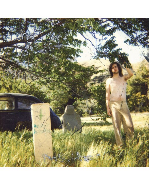 Imagem 0 de The Doldrums (2 LP-Vinil)