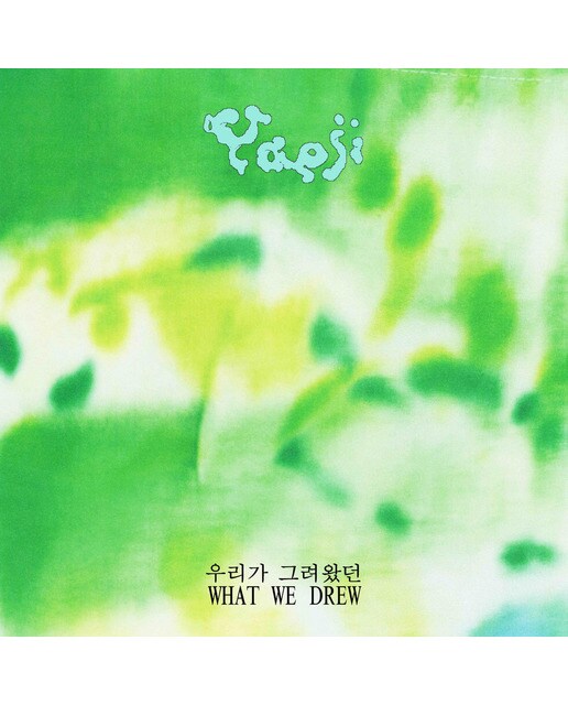 What we drew (LP-Vinilo)
