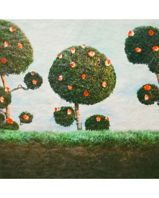 Imagem 0 de Painting the Roses (LP-Vinil)