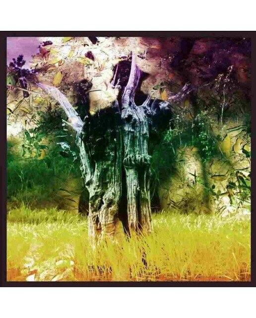 Imagem 0 de Meeting Of The W(RSD) (LP-Vinil)