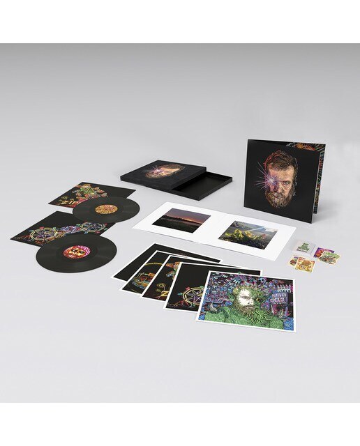 Boy From Michigan (Boxset) (2 LP-Vinil) 2