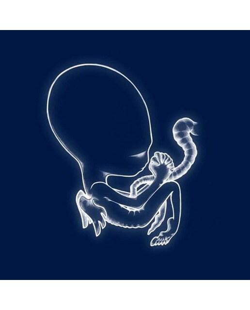 Imagem 0 de Ágætis Byrjun (2 LP-Vinil)