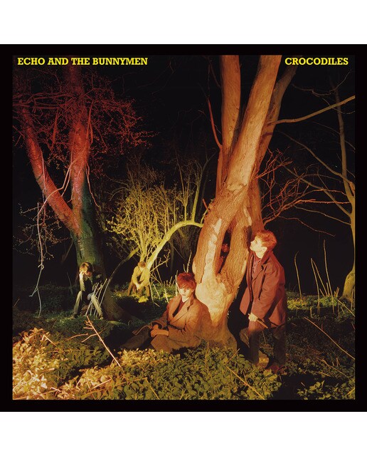 Imagem 0 de Crocodiles (LP-Vinil)