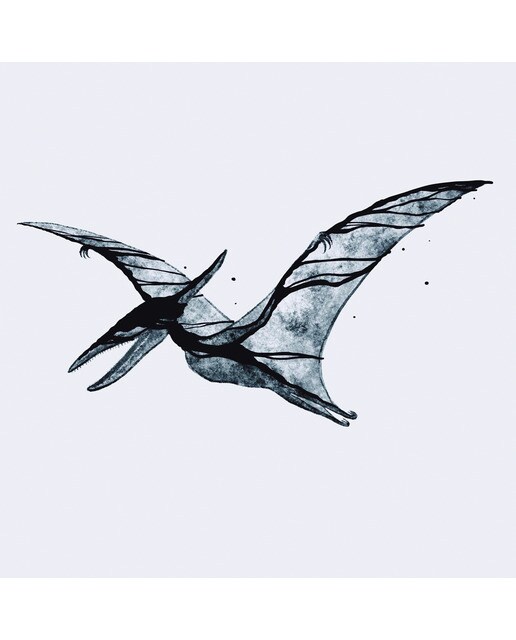 Imagem 0 de Pterodactyl / Plesiosaur (LP-Vinil)