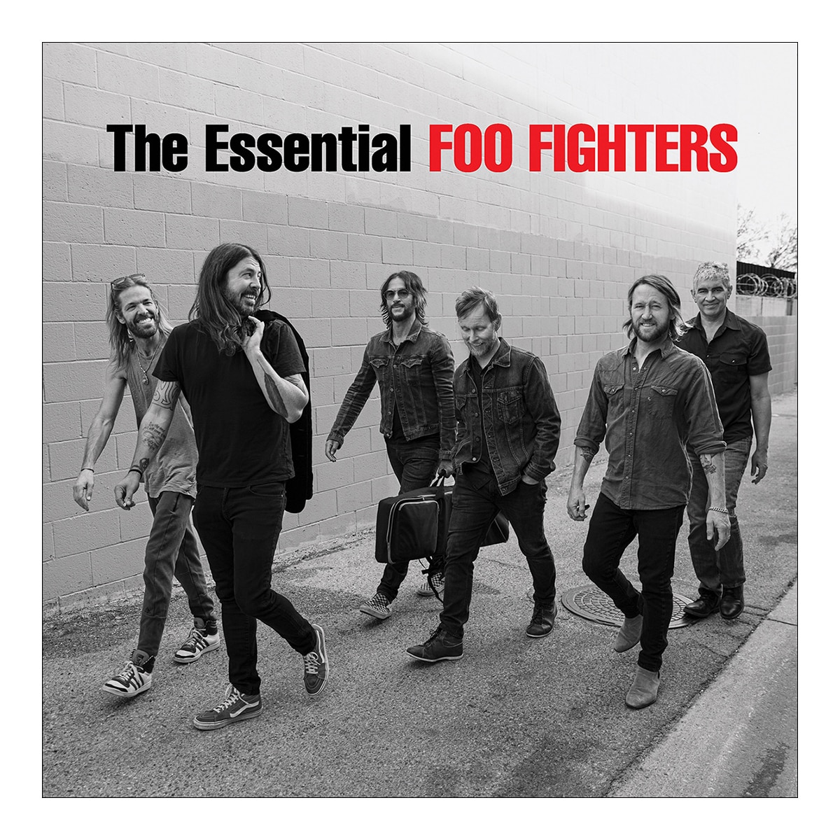 The essential Foo Fighters (2 LP-Vinil) 2