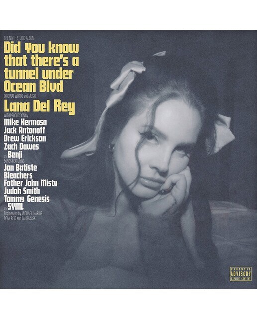 Did you know that there's a tunnel under Ocean Blvd (2 LP-Vinilo)