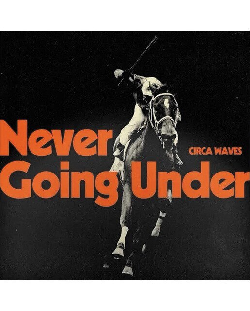 Imagem 0 de Never going under (LP-Vinil)