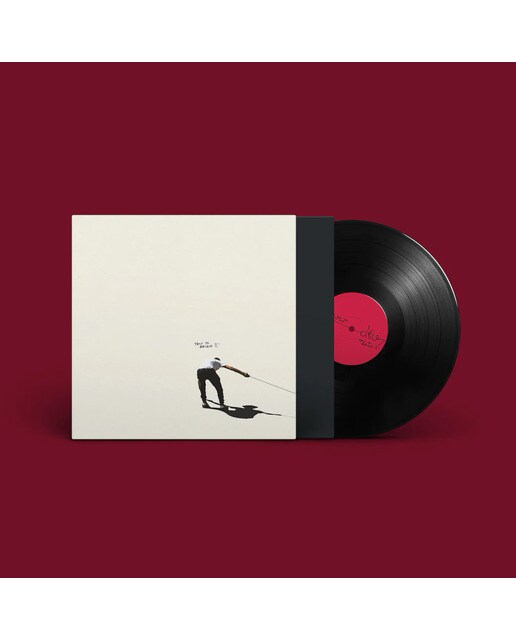 How to replace it (2 LP-Vinil) 2