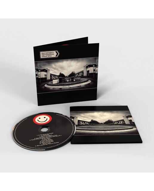 Council Skies (CD) 2