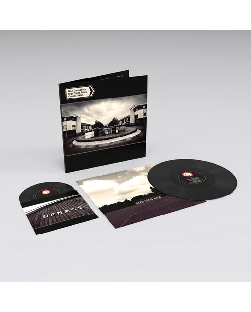 Council Skies (1 LP-Vinil + 1 Single) 2