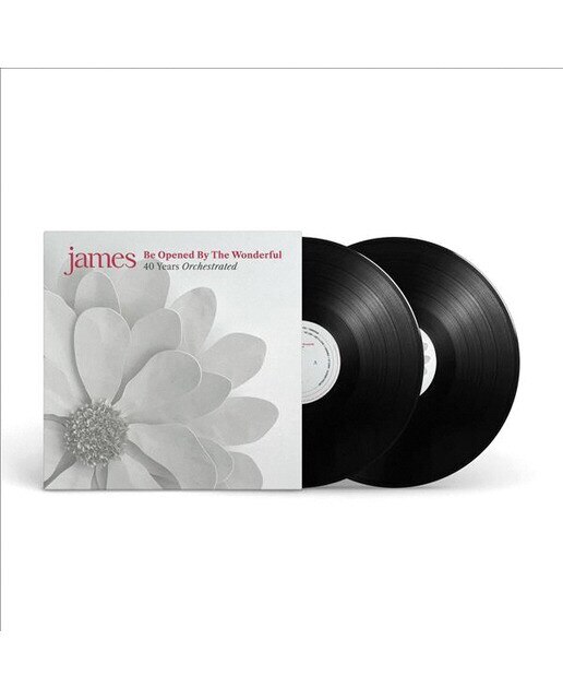Be Opened By The Wonderful  (2 LP-Vinil) 2