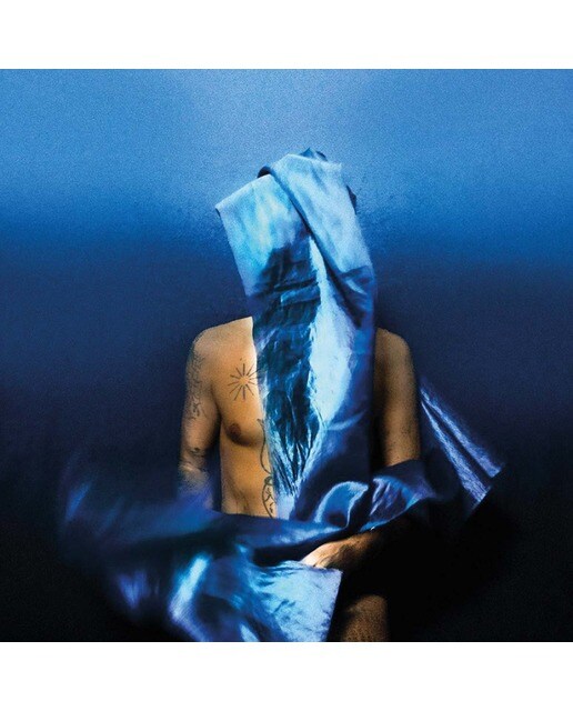 Imagem 0 de Flying wig (LP-Vinil)