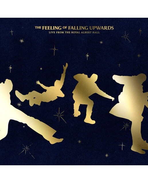 Imagem 0 de The feeling of falling upwards (2 LP-Vinil)