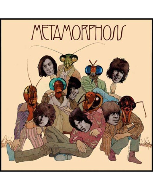 Metamorphosis (LP-Vinil) 1