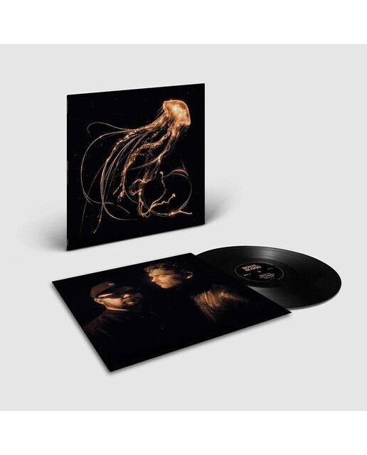 Back to the water below (LP-Vinil) 2