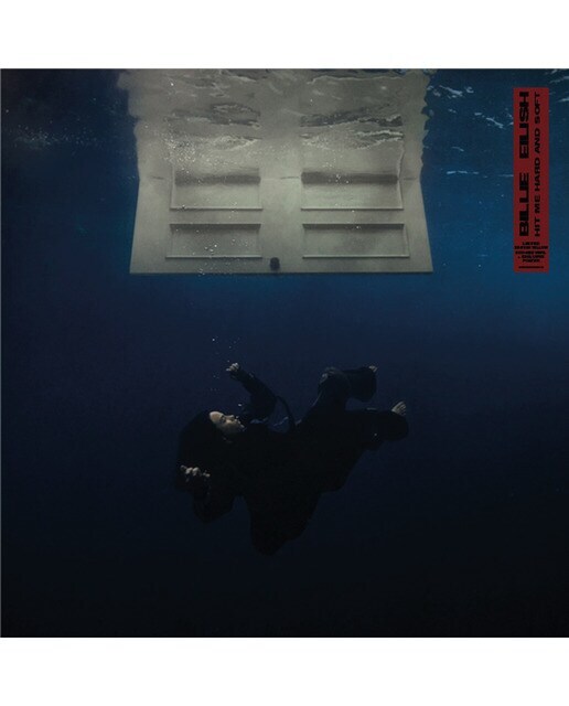 HIT ME HARD AND SOFT (CD)