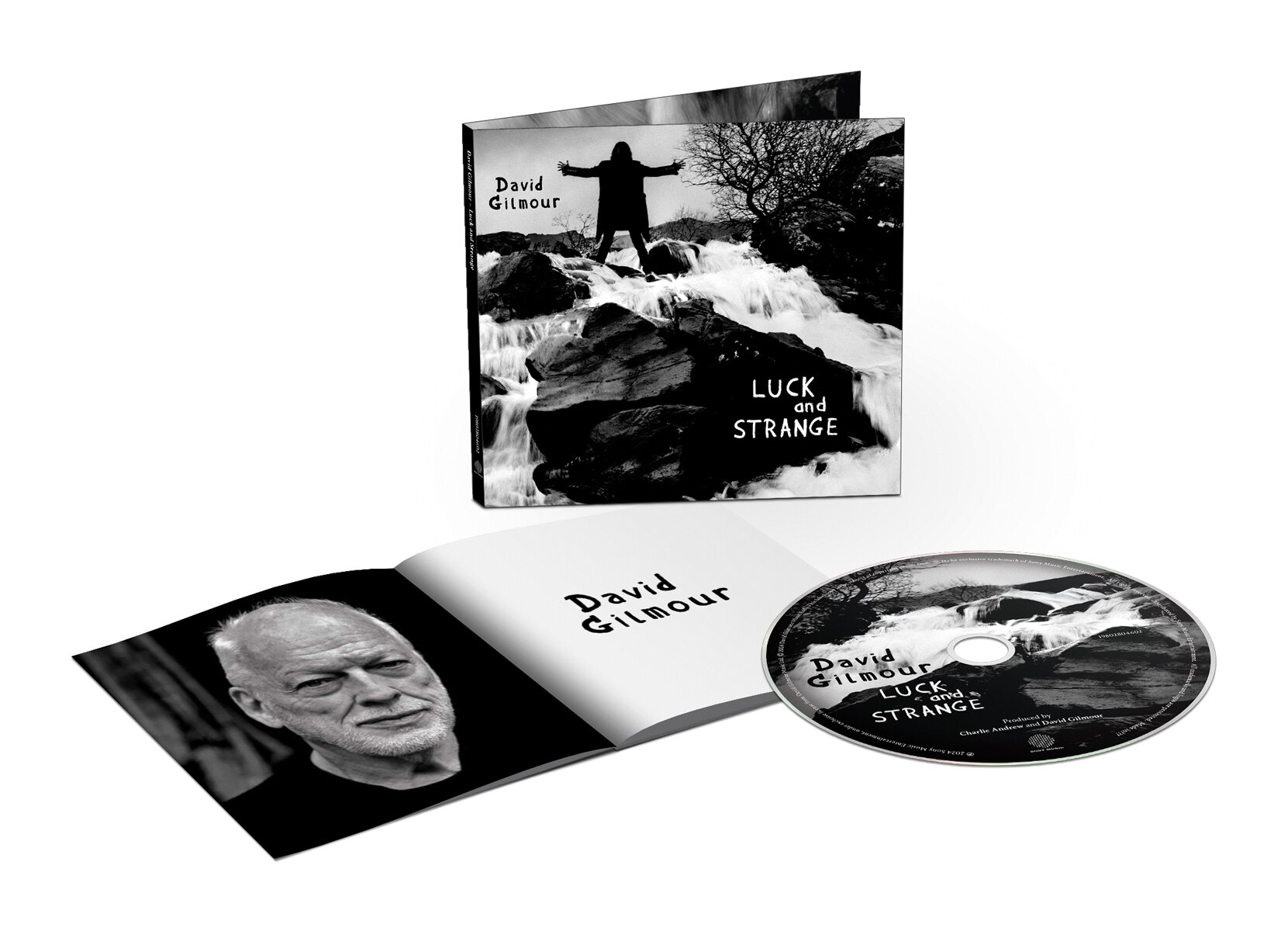 Luck and strange (CD) 2