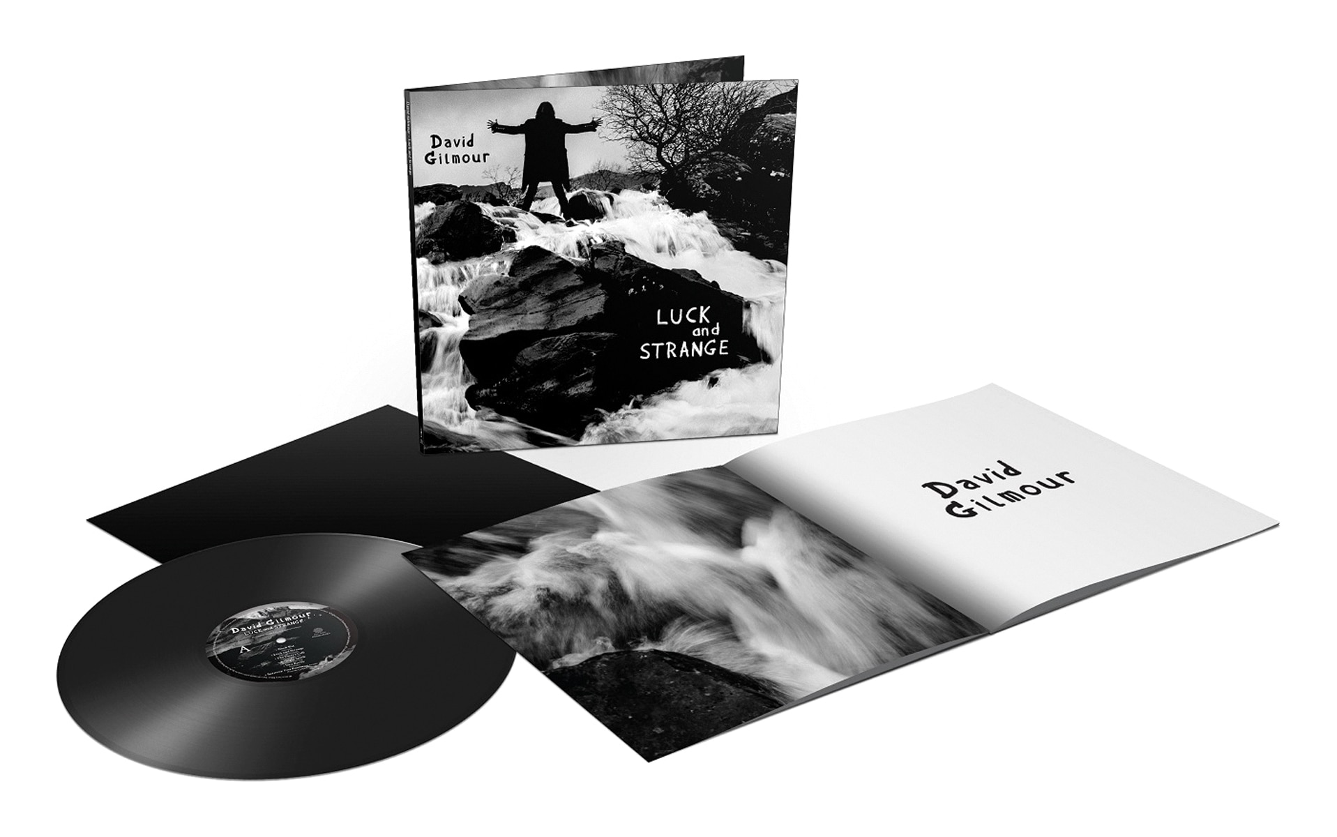 Luck and strange (LP-Vinilo) 2