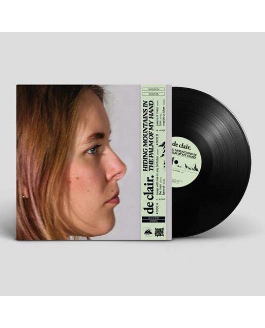 Hiding Mountains In The Palm Of My Hand (LP-Vinilo) 2