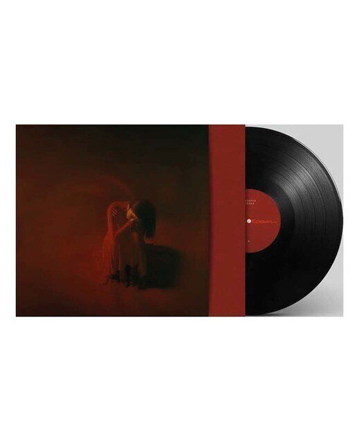Imagen 2 de Darkroom (LP-Vinilo)