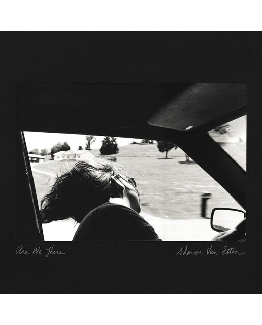 Are there - 10 year anniversary (Edición Color) (LP-Vinilo)