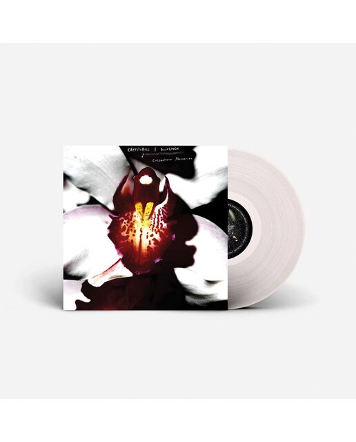 Cellophane memories (Edición Color) (LP-Vinilo) Blanco-2
