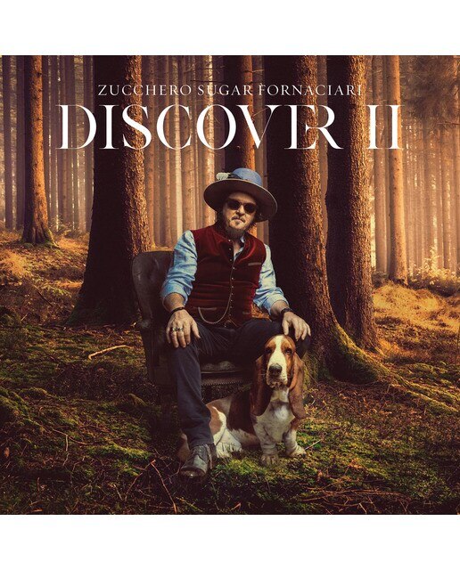 DISCOVER II (2 LP- Vinilo) 2