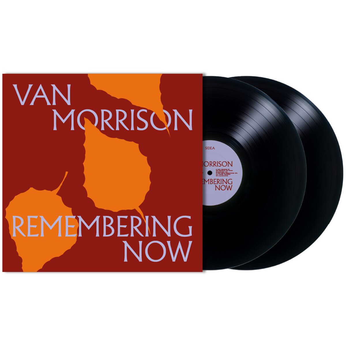 Remembering Now (LP-Vinilo) 2