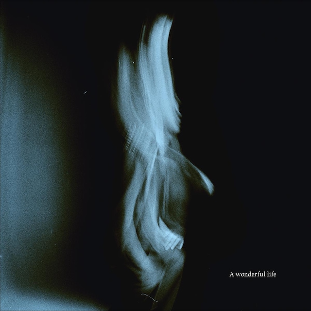 Imagen 0 de A Wonderful Life (CD)