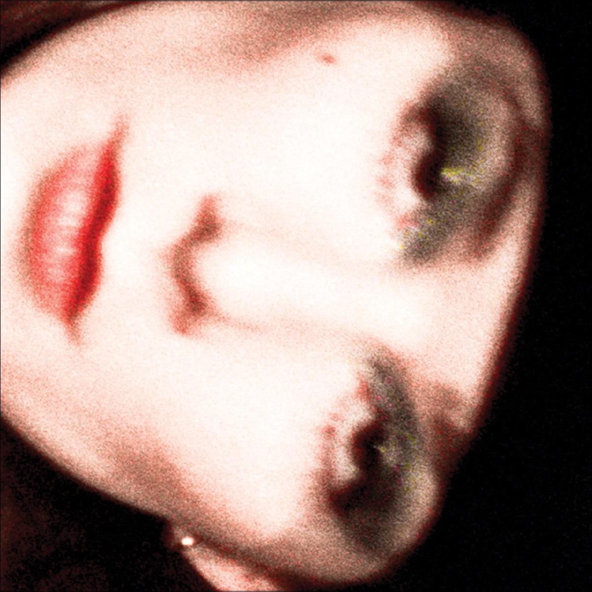 Imagen 0 de Carpe diem, Moonman (Edición Color) (LP-Vinilo)