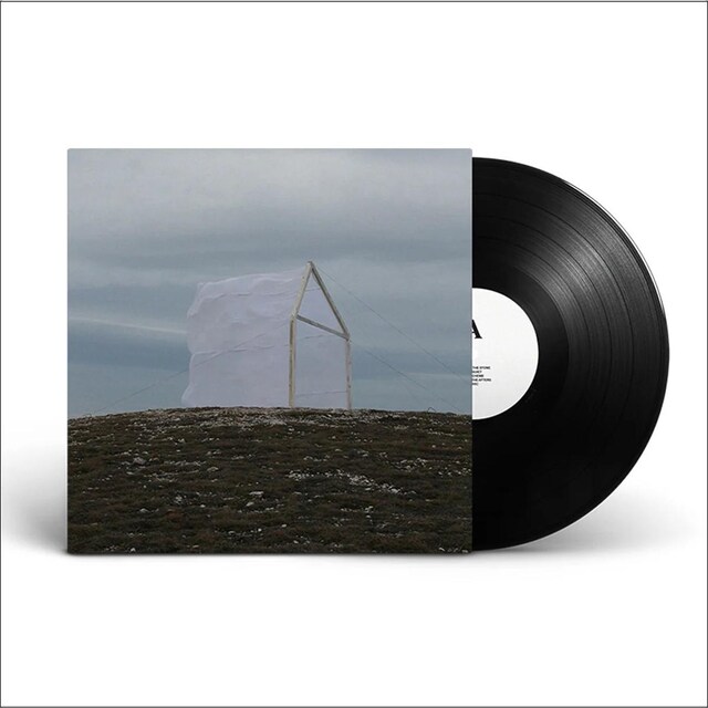 Imagen 0 de Carving The Stone (LP-Vinilo)