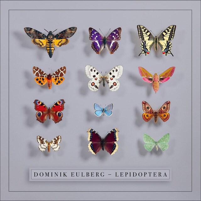 Imagen 0 de Lepidoptera (CD)