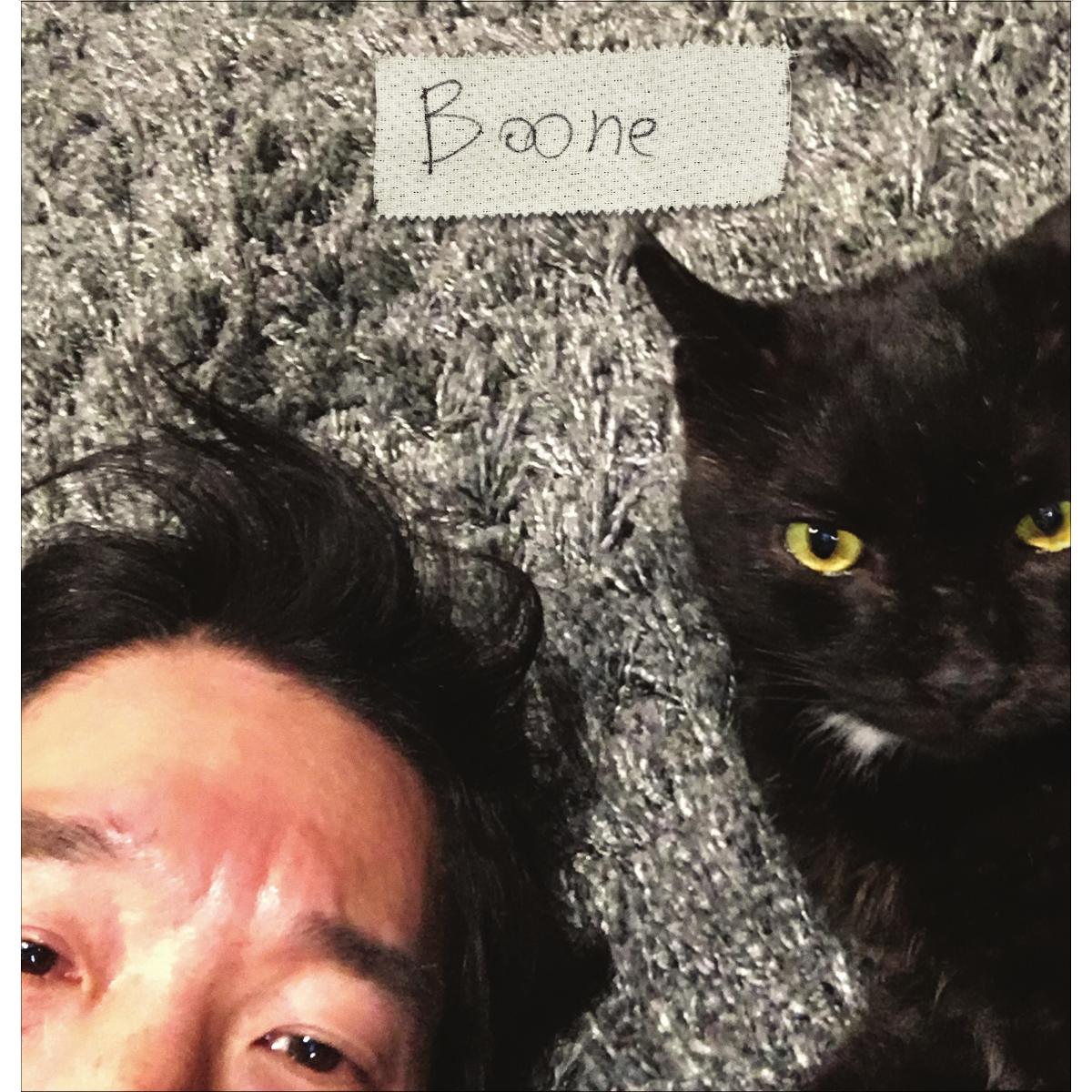 Imagen 0 de Boone (LP-Vinilo)