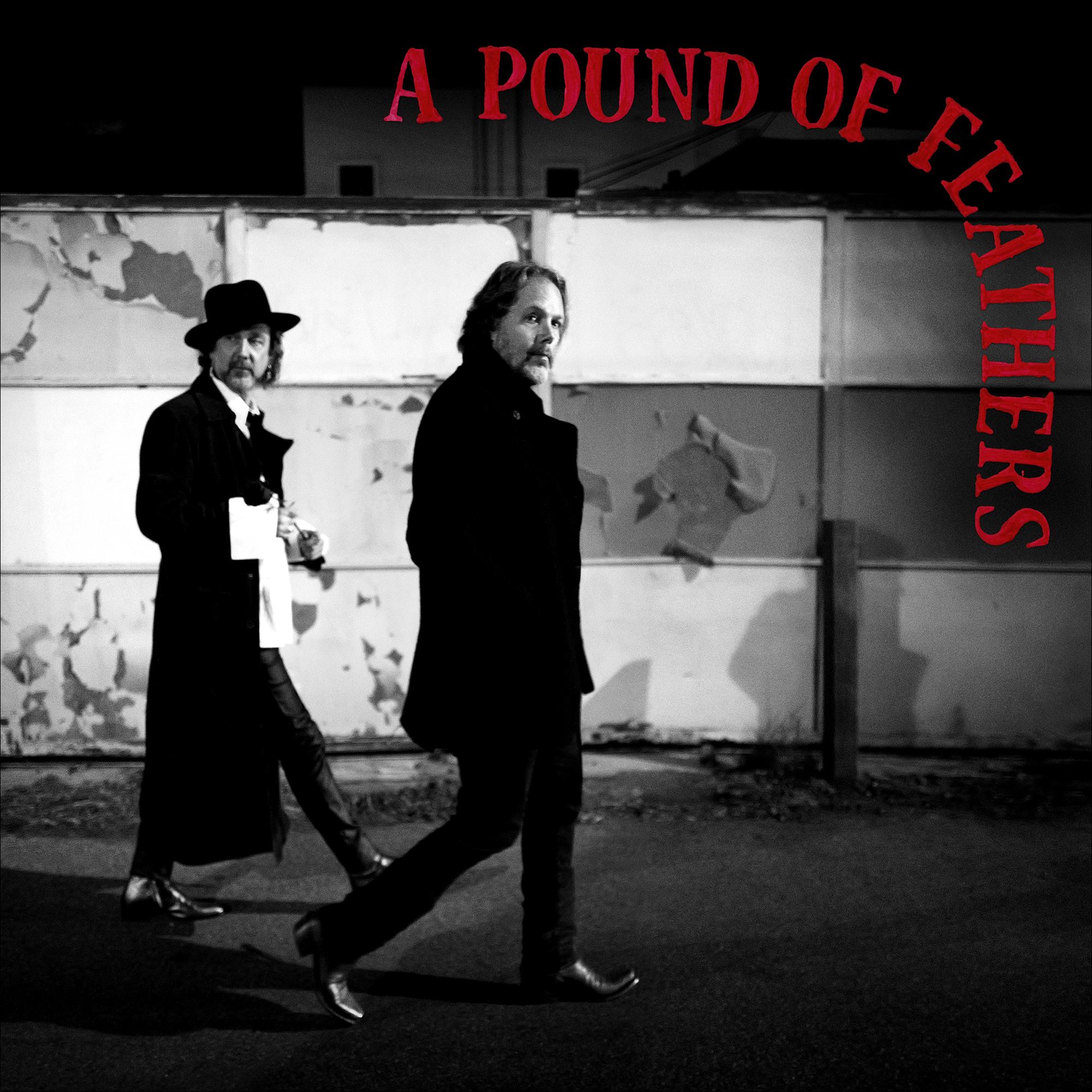 Imagem 0 de A Pound Of Feathers (CD)