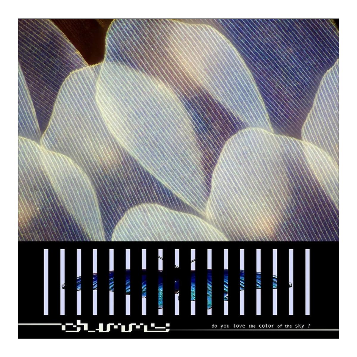 Do You Love The Color Of The Sky? (LP-Vinilo) Neón-2