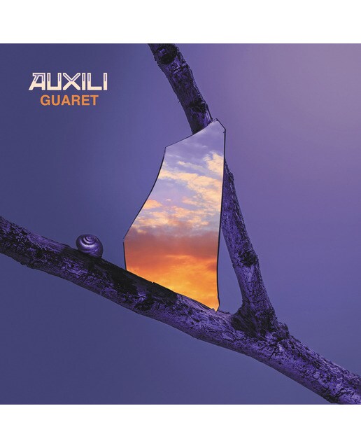 Guaret (LP-Vinil) 1