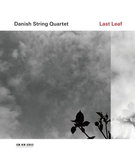 Last Leaf (LP-Vinil) 1
