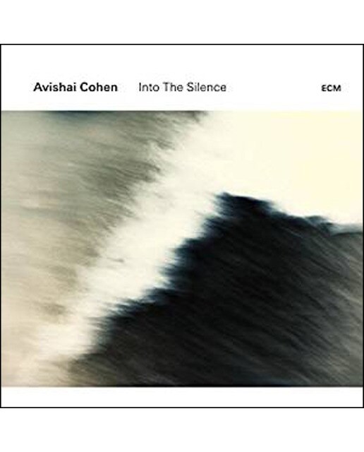 Imagem 0 de Into The Silence (2 LP-Vinil)