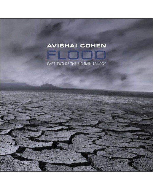 Imagen 0 de Flood (CD)