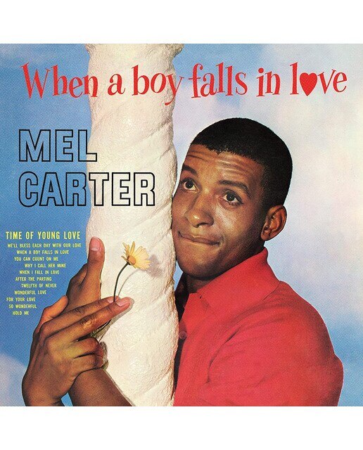 Imagem 0 de When a boy falls in love (LP-Vinil)