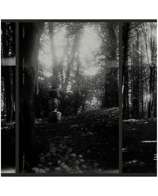 Imagem 0 de The wayfarers (Edição Color) (LP-Vinil)