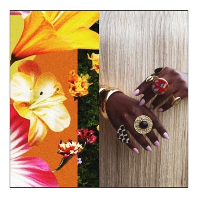 Imagen 0 de What Does It Take To Bloom? (LP-Vinilo)