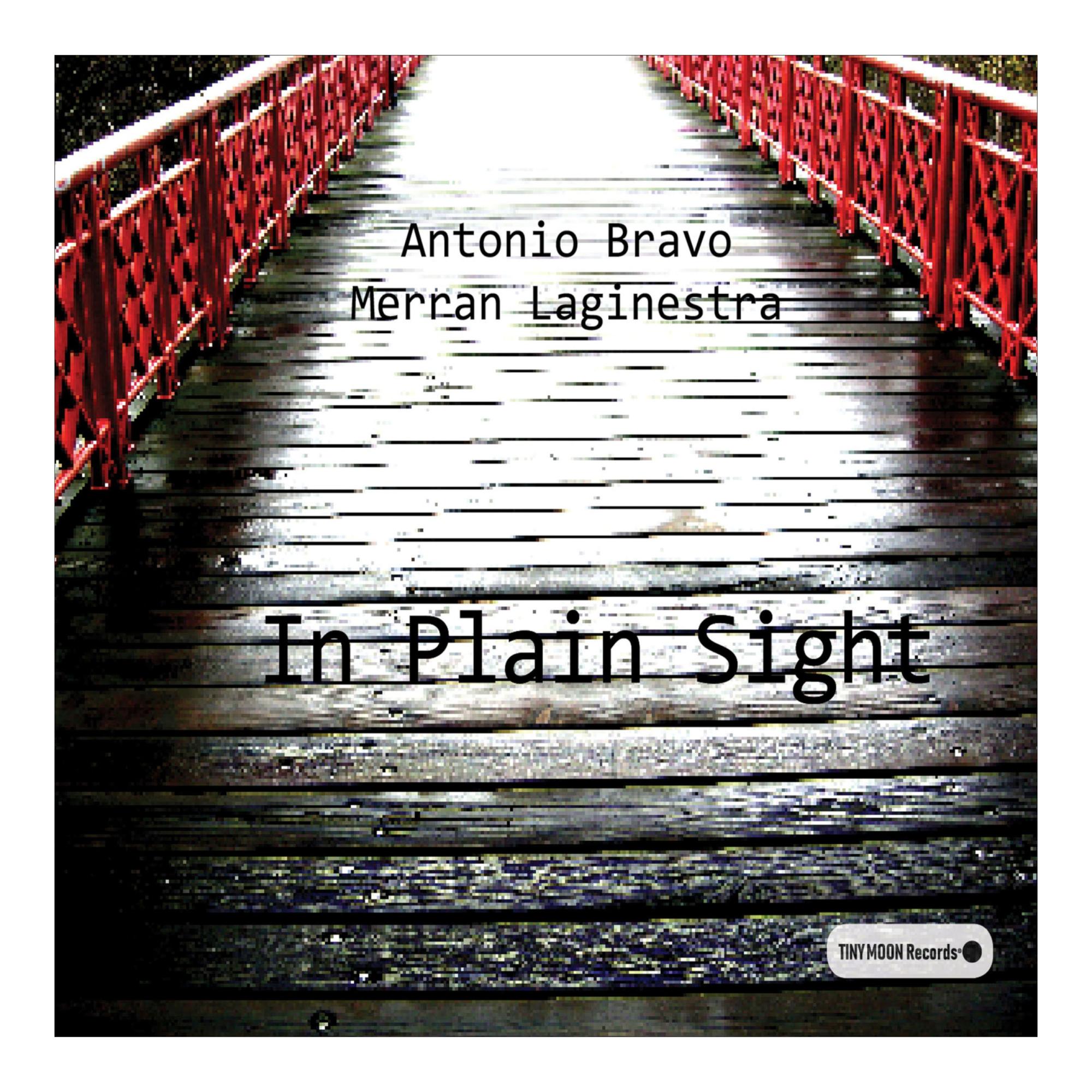 Imagen 0 de In Plain Sight (CD)