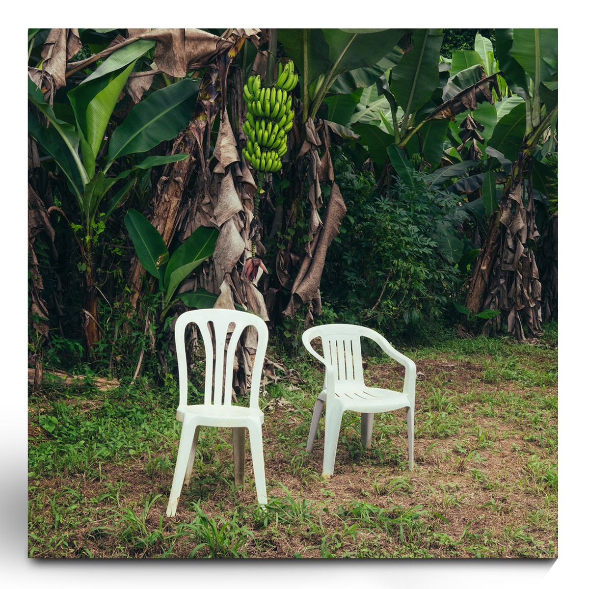 DeBÍ TiRAR MáS FOToS (Edição Color) (2 LP-Vinil) Branco-2