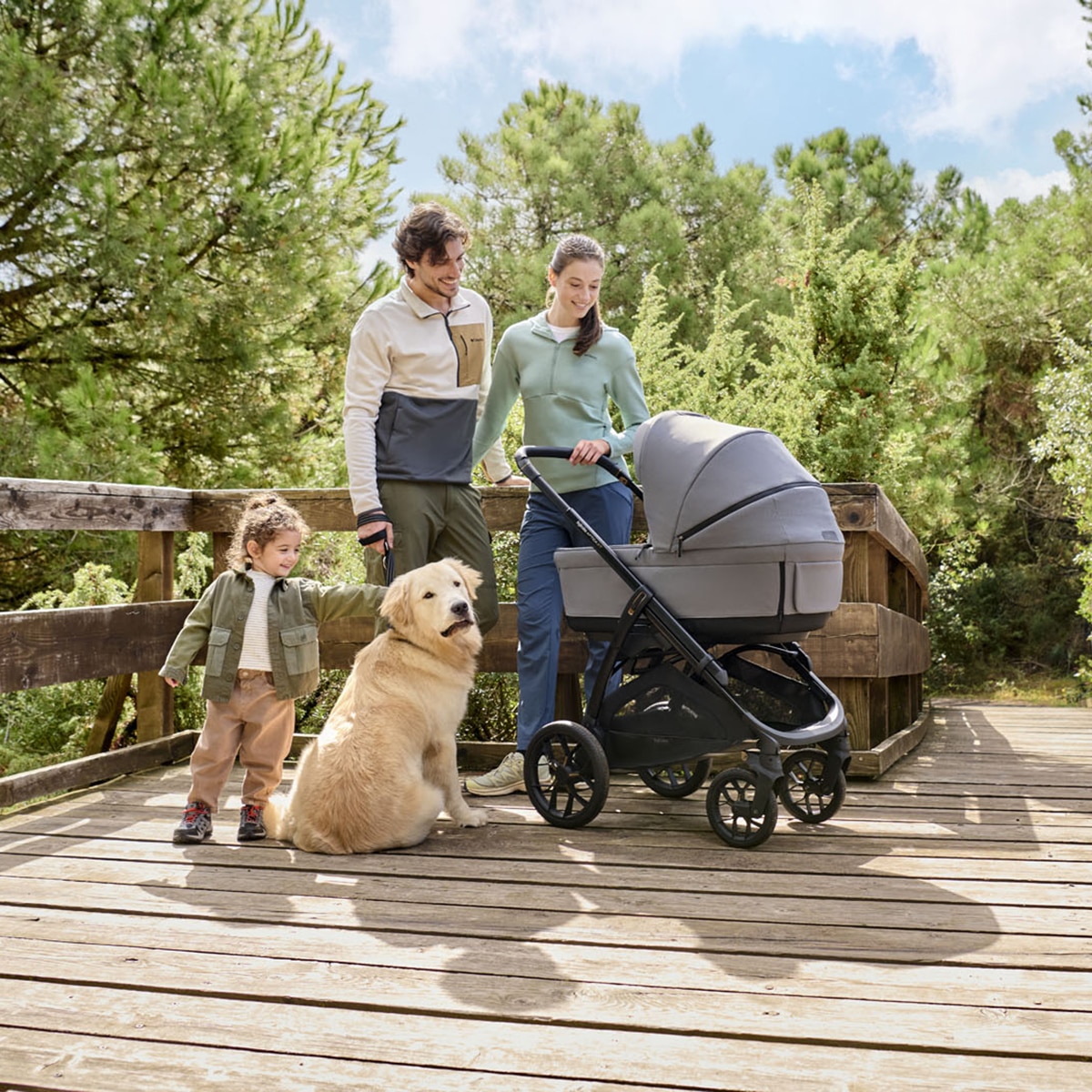 Carro de bebé Inglesina System Quattro Aptica XT Darwin 7